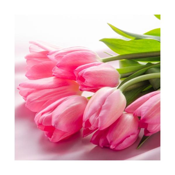 `[bv NX}Xh[ d炫5pbN HA ~A t炫  CObVK[f Zbg