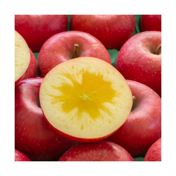 ʎc S c  Abvinj[Abvj 1Nږ 4.5(a13.5cm) |bgc ʎc t