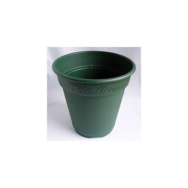 Aؔ  ^ AbvEFA[ [AXNGA 240^ O[ k 4.0L