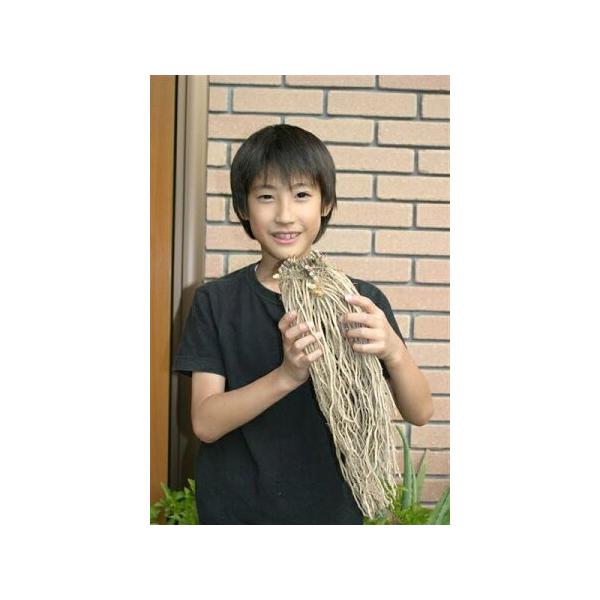 O[AXpKX c 劔10Zbg iFEFJiVYj