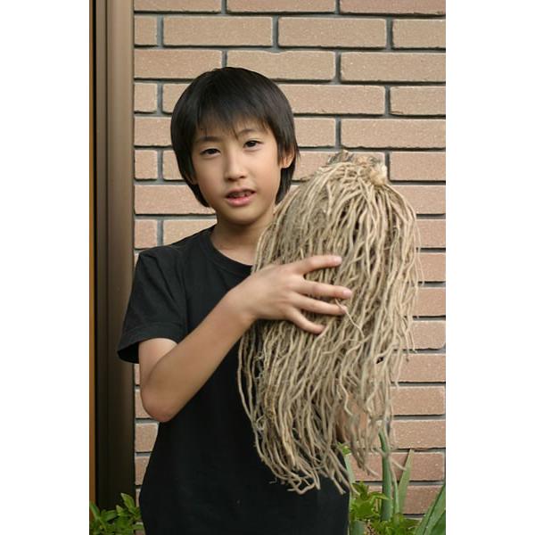 O[AXpKX  c rbNAXp劔 ƒؔ_Ɣ 