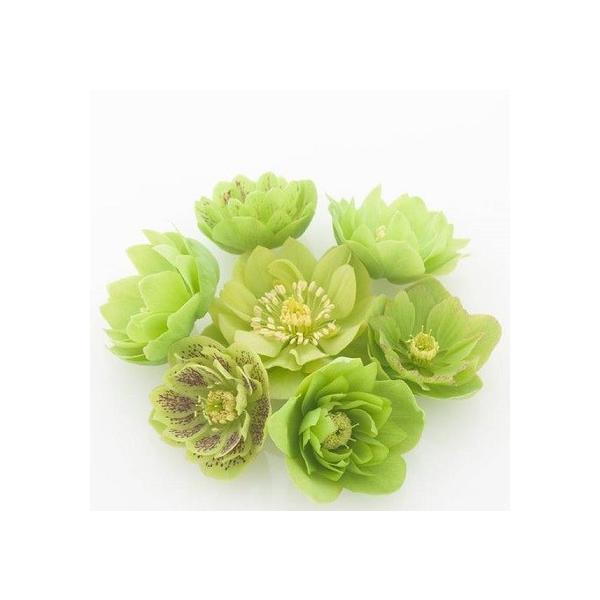 NX}X[Y  c d炫O[n_u 9cm|bgc i[Z[EIc