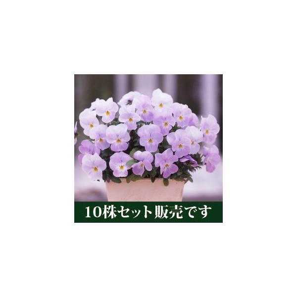 rI t[p[X[p[ \tgsN |bgc 10Zbg E Ei pW[ rI ݂ c 񂹐A