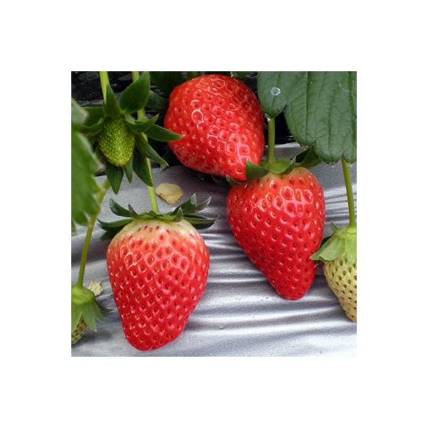 C`S ʎ c  ̂  a9cm|bg ƒ؉ v^[