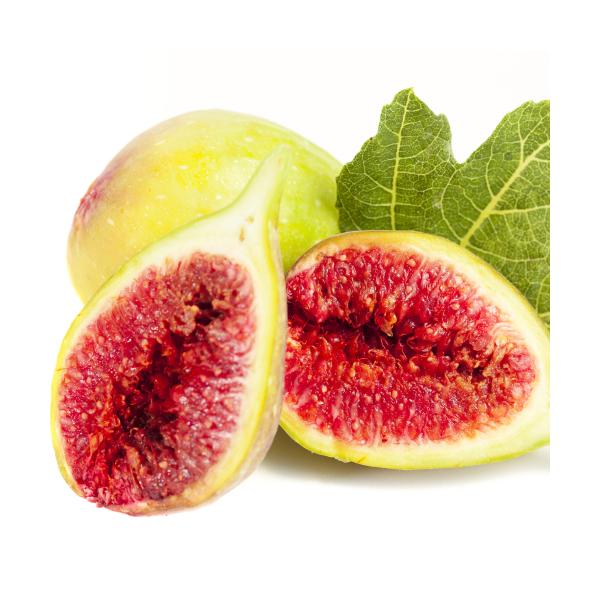 イチジク 鉢の人気商品 通販 価格比較 価格 Com