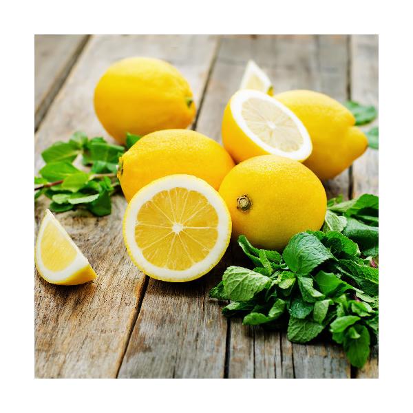 }C[ ʎ c 4.5 a13.5cm |bg x_łʎ kn ΍ ϗtA