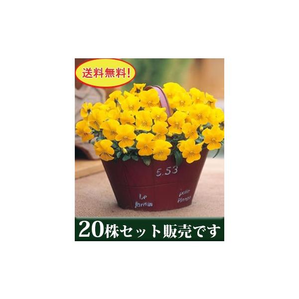 rI rr NACG[Cv |bgc 20Zbg  i ݂ pW[ rI c CObVK[f 񂹐A