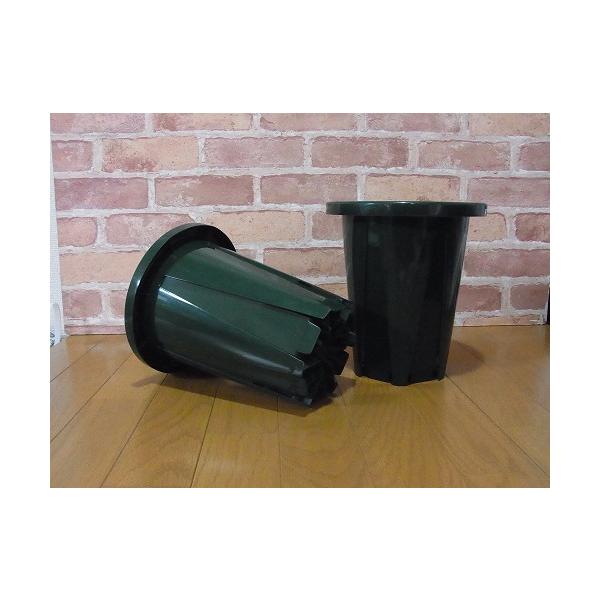 スリット鉢（とんでもないポット）は 根がぐるぐる回ることなく縦に生育するような構造となっているので、 花木や果樹を始めとしてバラやクリスマスローズ、ブルーベリー等を 長い年月健全に生育させることが出来ます。 弾力があり壊れにくい硬質ポリ素材...