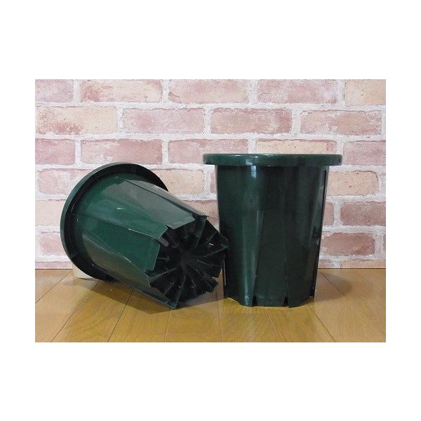 Xbg茜R^CvW@ (CSK-240)@1