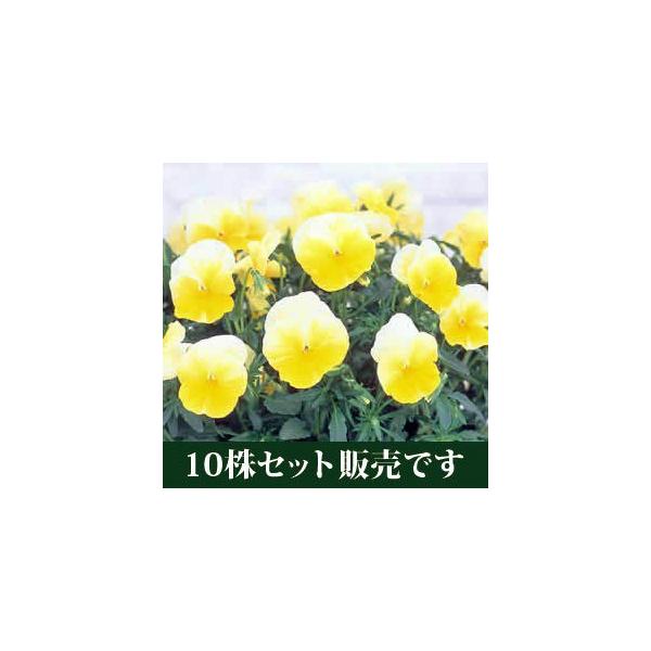 悭炭X~ l[h |bgc 10Zbg E Ei pW[ rI ݂ c 񂹐A