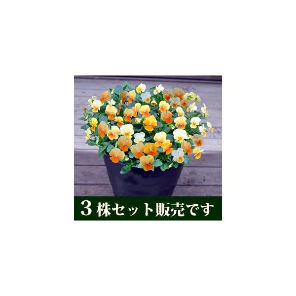 rI IWbv vXLeB[ |bgc 3Zbg pW[ rI ݂ c 񂹐A