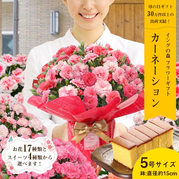 母の日 花とスイーツセット21 鉢植え ギフト プレゼント カーネーション5号 Sweets Gift Present 選べる花17種類 お菓子4 種類 Buyee 日本代购平台 产品购物网站大全 Buyee一站式代购 Bot Online
