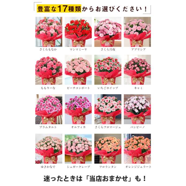 母の日 花とスイーツセット21 鉢植え ギフト プレゼント カーネーション5号 Sweets Gift Present 選べる花17種類 お菓子4種類 Buyee Buyee 일본 통신 판매 상품 옥션의 대리 입찰 대리 구매 서비스