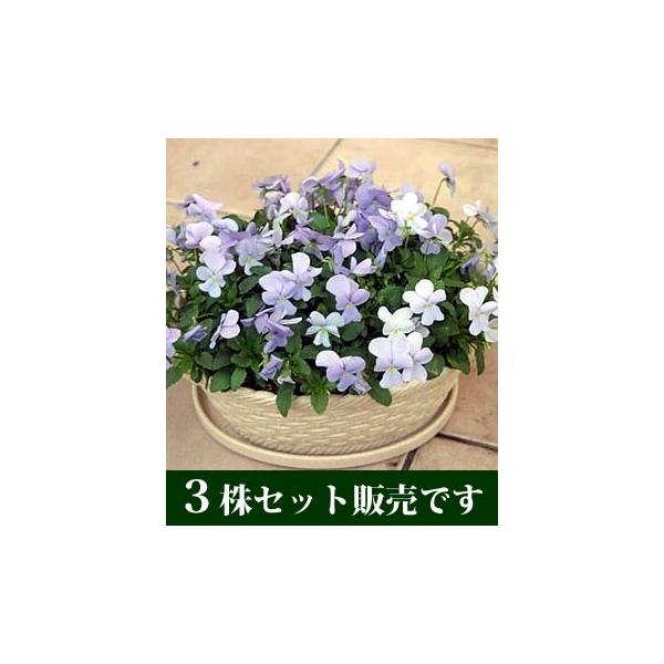 rI rr wu[u[ |bgc 3Zbg ݂ pW[ rI c CObVK[f 񂹐A