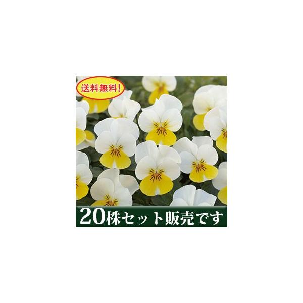 rI t[p[ N[CG[bv |bgc 20Zbg  i pW[ rI ݂ c 񂹐A