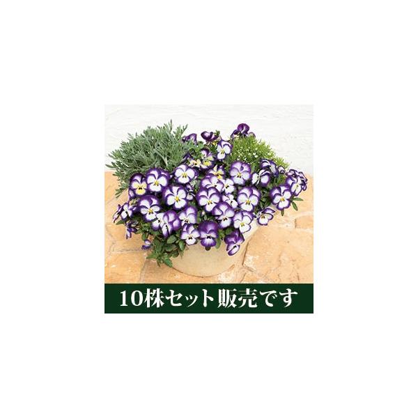 pW[ FX~ m[u |bgc 10Zbg E Ei pW[ rI ݂ c 񂹐A