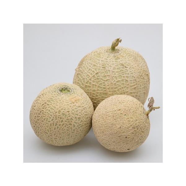 ミニメロン 果実 種 メロリーナ 家庭菜園で収穫できるメロンのタネ 3粒パック 業務用小分け 交配せずに結実できます 第4種または一般郵便なら全国送料無料 Buyee Buyee Japanese Proxy Service Buy From Japan Bot Online