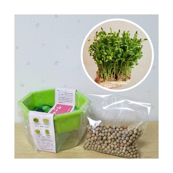 c XvEg͔|Zbg   eƃ^l100ml X^[^[Lbg