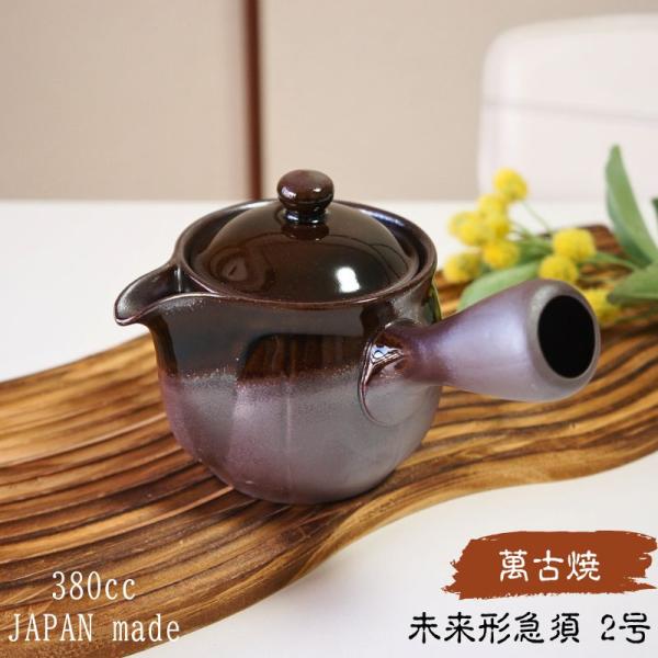 萬古焼 急須 未来形 2号 平網 アメ おしゃれ 日本製 ティーポット 茶器