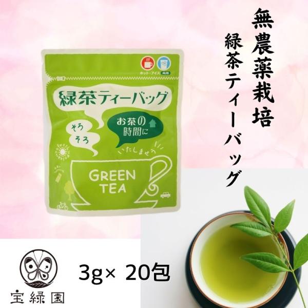 緑茶 ティーバッグ 無農薬 無農薬緑茶 1袋 宝緑園 無農薬栽培茶 日本茶 お茶 パック 緑茶無農薬 農薬不使用