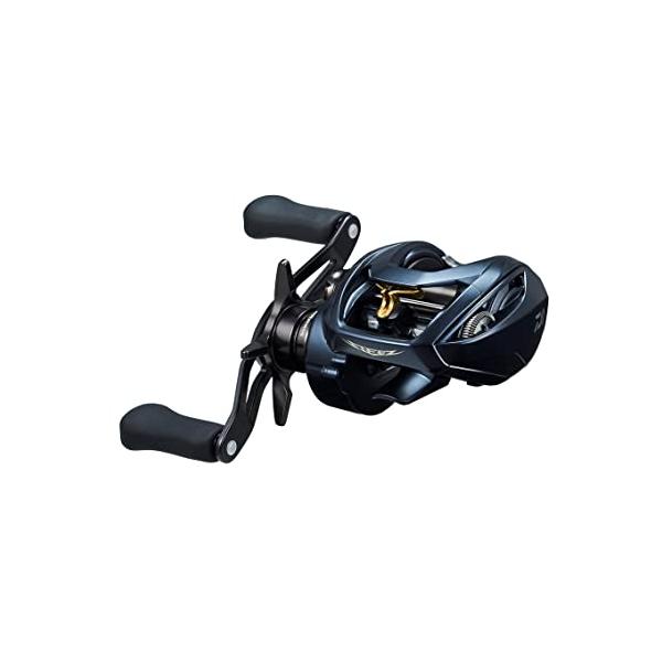 ダイワ(DAIWA) ベイトリール STEEZ(スティーズ) AII TW 1000H 2022年