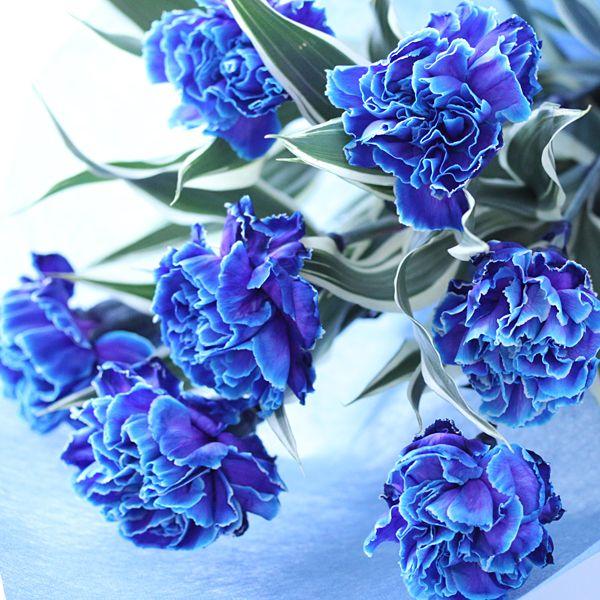 ブルーカーネーション 花束 Hmo 019 花雅 通販 Yahoo ショッピング