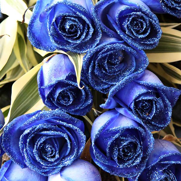 年齢の数だけ輝く青色のバラ花束ラメブルーローズ 花束 5本 お好きな本数をご指定ください 花束 ブーケ お祝い Buyee 日本代购平台 产品购物网站大全 Buyee一站式代购 Bot Online