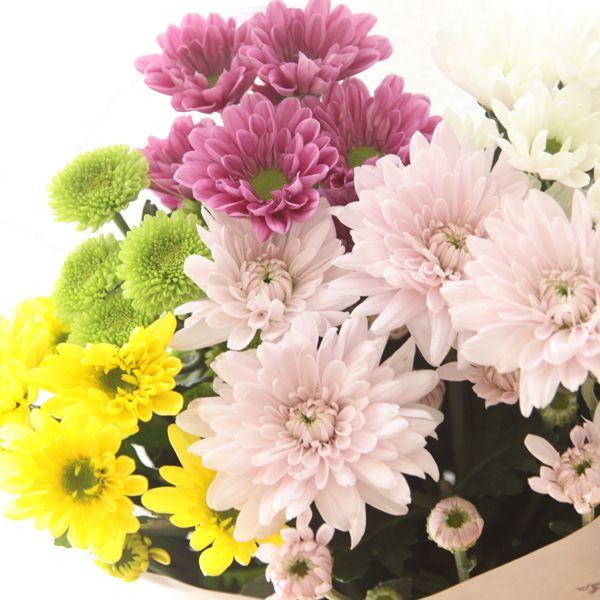 お供えの花 切花 スプレーマム1 050円5種類mix 5本 お盆 お彼岸 お墓参り お供え花 仏壇のお花 墓花 切花 Buyee Buyee Japanese Proxy Service Buy From Japan Bot Online