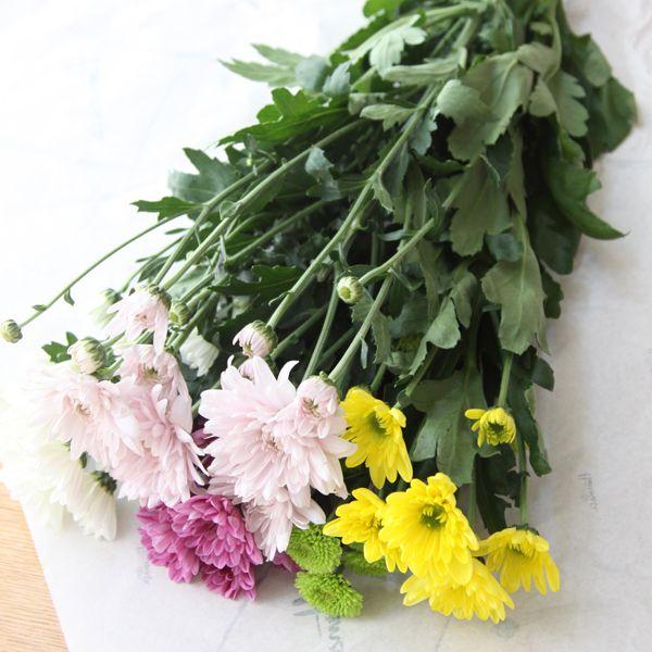 お供えの花 切花 スプレーマム1 050円5種類mix 5本 お盆 お彼岸 お墓参り お供え花 仏壇のお花 墓花 切花 Buyee Buyee 日本の通販商品 オークションの代理入札 代理購入
