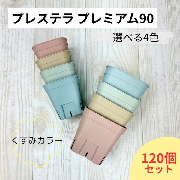 プレステラプレミアム90 120個セット 2.5号 スリット鉢 : 花実樹(はな