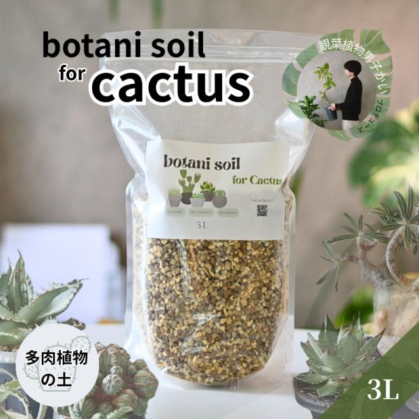 botani soil for cactus 3L　ボタニソイル カクタス 多肉植物の土