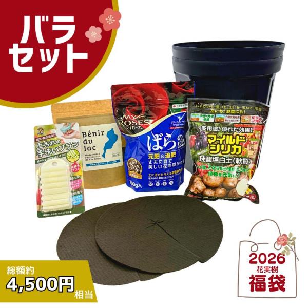 バラセット 【2026 福袋】 : 花実樹(はなみき)ヤフー店 - 通販 - Yahoo