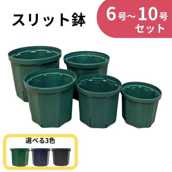 兼弥 スリット鉢 ６〜10号 セット　6号 7号 8号 9号 10号　1鉢ずつ カネヤ