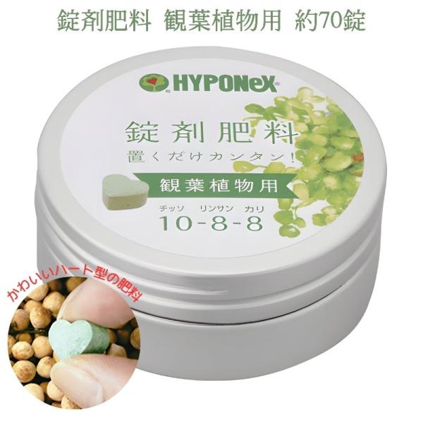 他サイト： 錠剤肥料 観葉植物用 約70錠の商品画像