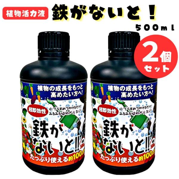 植物活力液  鉄がないと! 500ml　2個セット　活力剤 二価鉄  鉄分補給 ハイドロカルチャー カーメン君