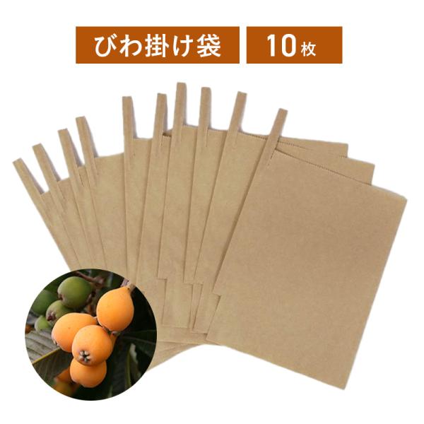 【詳細】幼果実3.4粒をまとめて袋掛けします。鳥や病害虫、こすりキズを防ぎます。結束針金が付いているので装着も簡単です。【使用方法】3月〜4月頃に、幼果に袋掛けを行います。雨上がり直後を避けて、晴れた日の日中に行って下さい。結束針金を果軸に...