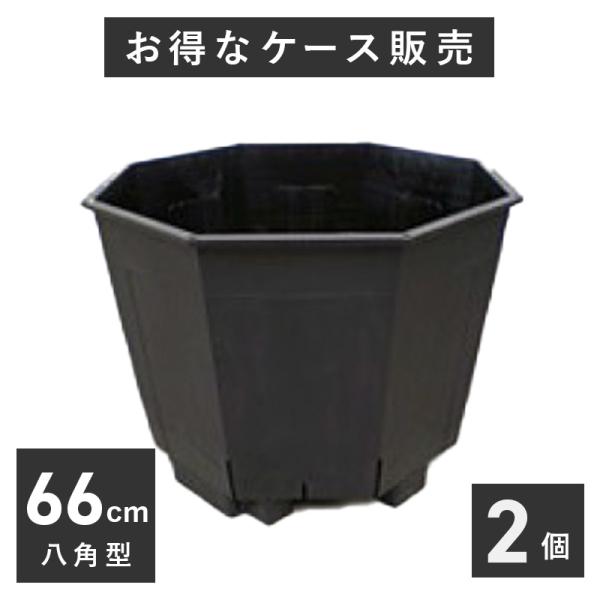 hanamiki_csm-620-10