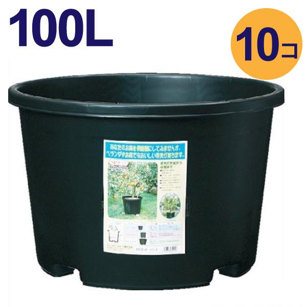 【要ご確認】●運送会社の都合上、時間帯指定及び日曜祝日の配達ができません。購入画面では時間指定等選択できてしまいますが、こちらの商品は対応しておりません。●特大サイズです。サイズをしっかりお確かめの上ご購入ください。●沖縄、離島のお客様は別...