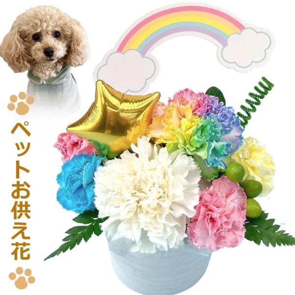 ■商品形態：生花アレンジメント■使用花材：メイン：レインボーカーネーション、カーネーション、トルコキキョウ■商品サイズ：高さ 約19cm x 幅 約15cm x 奥行 約13cm■花材について：出来るだけ画像と同じものをお届けいたしますが入...