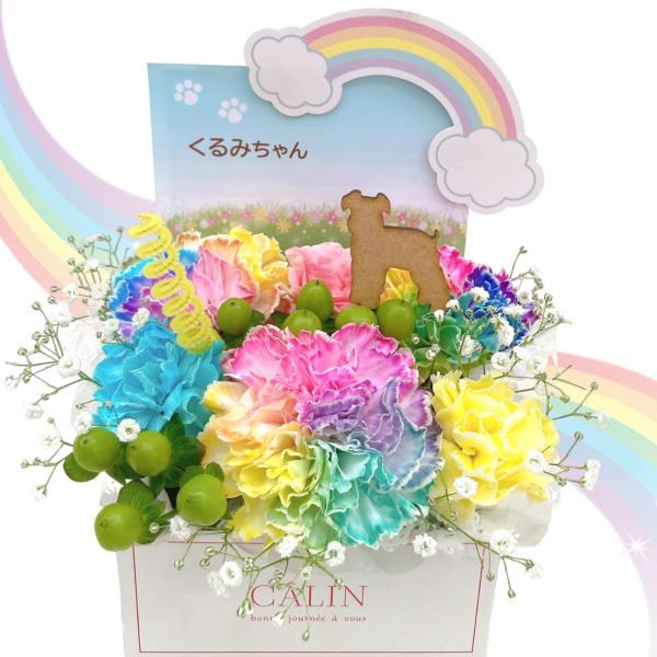 ■商品形態：生花アレンジメント■使用花材：メイン：カーネーション、カスミソウ■商品サイズ：高さ 約21cm ｘ 幅 約20cm ｘ 奥行 約17cm■花材について：出来るだけ画像と同じものをお届けいたしますが入荷状況により多少変更する場合が...