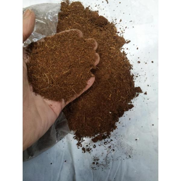 s[gX POk RRs[ u[x[ yǍ _