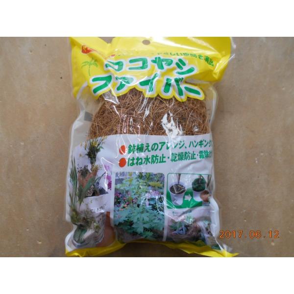 RRVt@Co[ ͂ːh~ 񂹐A AW h~