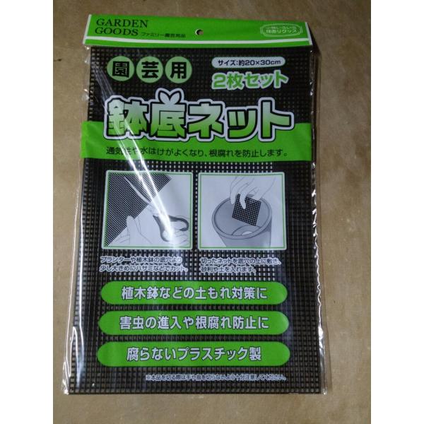 |pi lbg QNh~ ̓yR΍ W܂܂ŗDǔzőPWT~