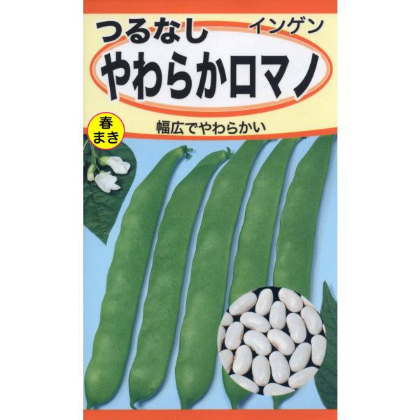 つるなしやわらかロマノ肉厚でスジのなく、12〜13cmのやわらかい平さや種。風味豊かで食感も良いおいしい品種です。生育旺盛で作りやすく、多収が見込めて家庭菜園に最適です。　第４種郵便で、送料７３円です。　●地域別の蒔き時を３枚目以降の画像で...