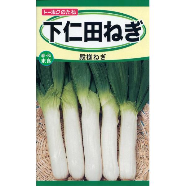 [Release date: March 25, 2025]下仁田ねぎ肉質軟らかく風味の良い品種。特に加熱で甘みが増し、やわらかく繊維質を感じさせない滑らかな食感となり、すき焼や鍋物には欠かせない。群馬県下仁田地方の特産。　第４種郵便で４袋...