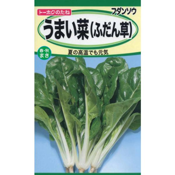 ؂̎ ܂ ӂ Q܂܂őVR~ Dǔz̓Nbv|Xgő185~