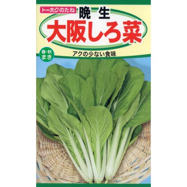 野菜の種 大阪しろ菜 優良配送のクリップポストで１０袋まで送料２００円
