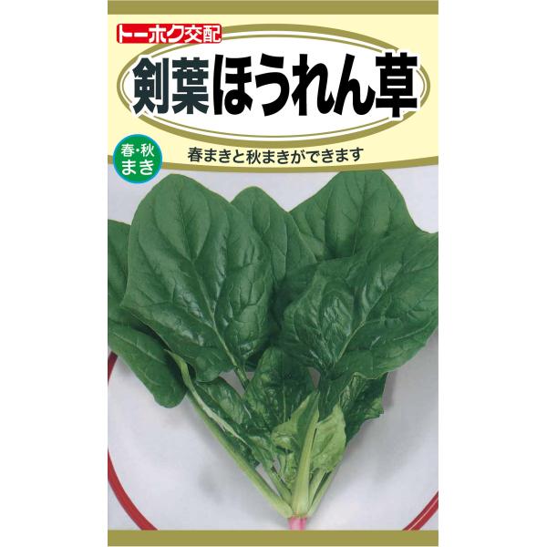 野菜の種 剣葉ほうれん草 味緑  優良配送のクリップポストで１０袋まで送料１５０円