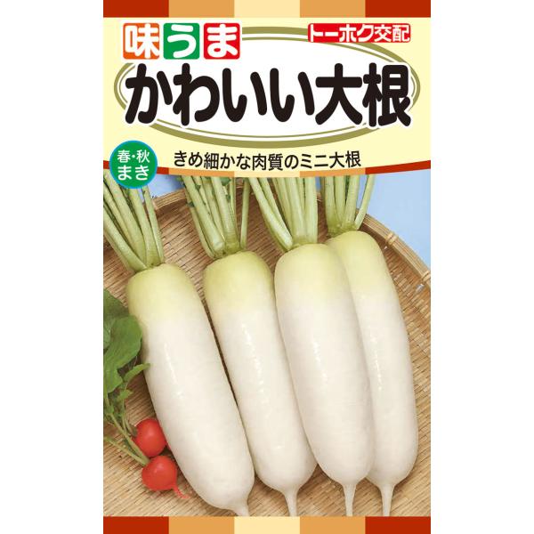 野菜の種 かわいい大根 小太郎 優良配送はクリップポストで１０袋まで送料１５０円