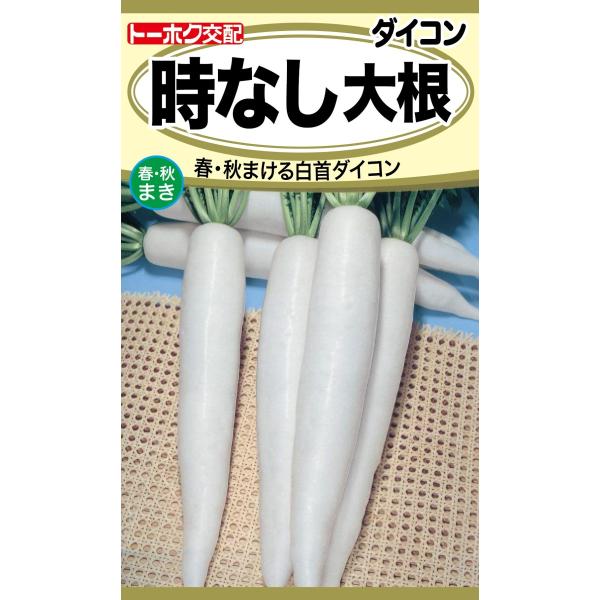 ؂̎ Ȃ卪 {̐ S܂܂őVR~ Dǔz̓Nbv|Xgő185~